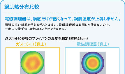 甧Mzr1